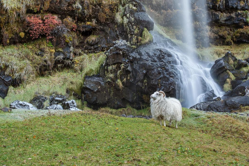 Vila Kornholl Hvolsvöllur Exteriér fotografie