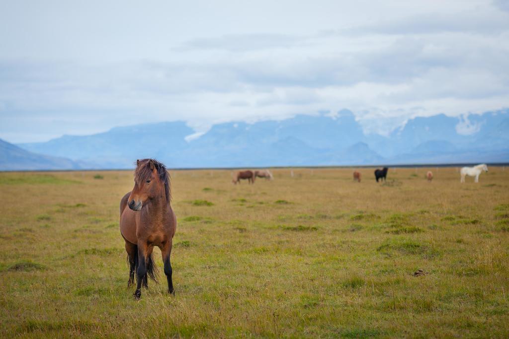 Vila Kornholl Hvolsvöllur Exteriér fotografie