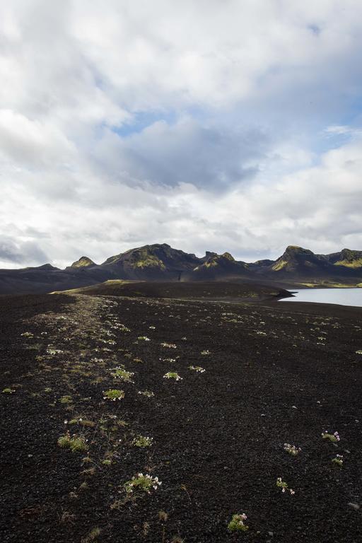 Vila Kornholl Hvolsvöllur Exteriér fotografie